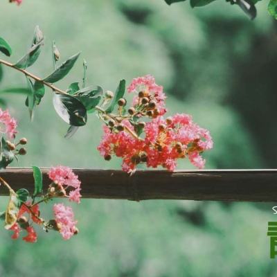 ag入口官网登录截图